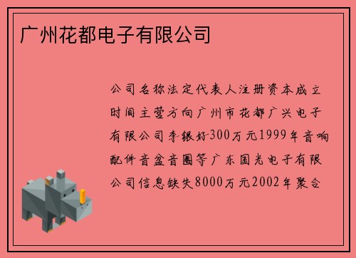 广州花都电子有限公司